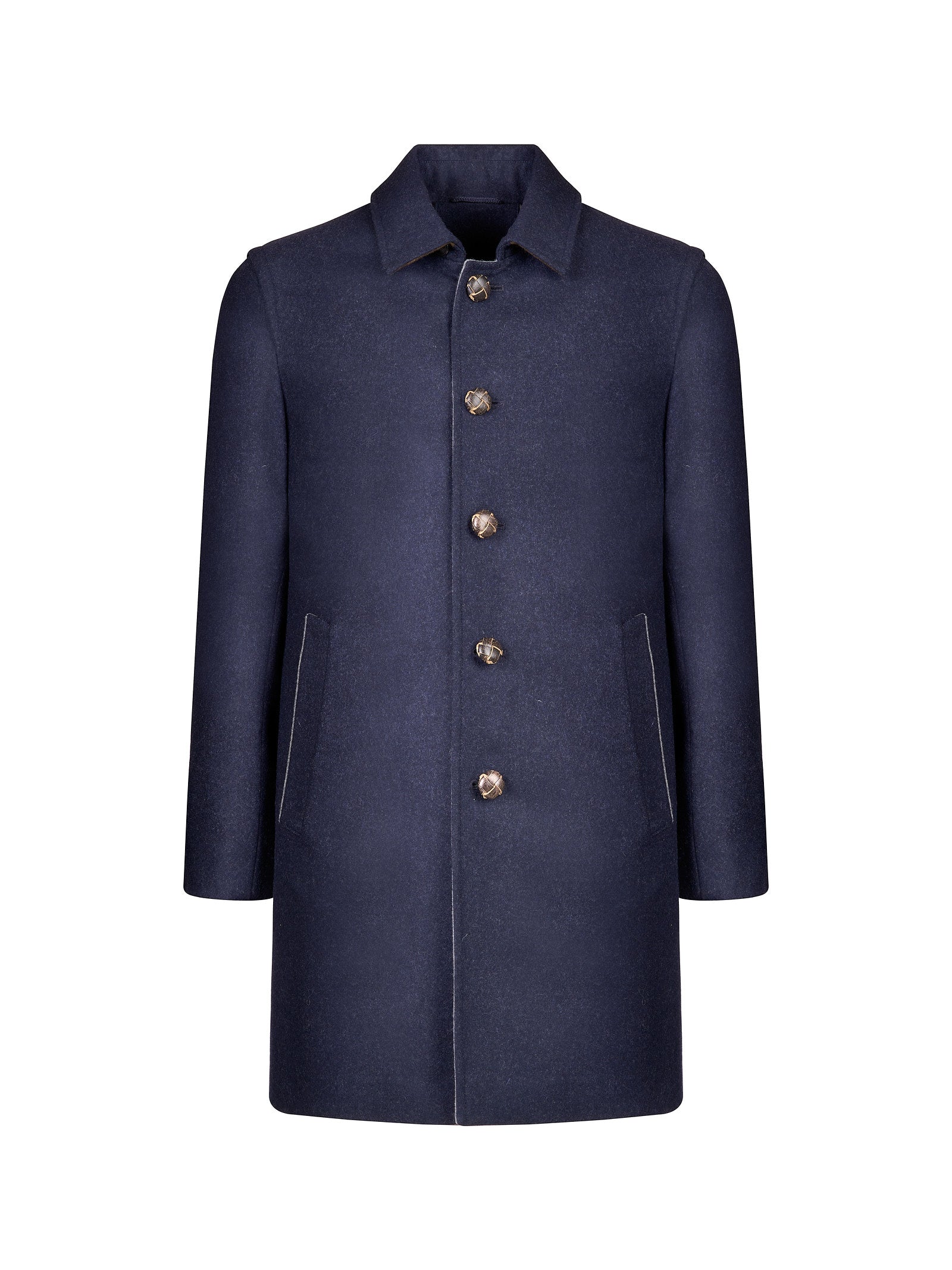 Immagine diapositiva