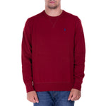 Immagine diapositiva