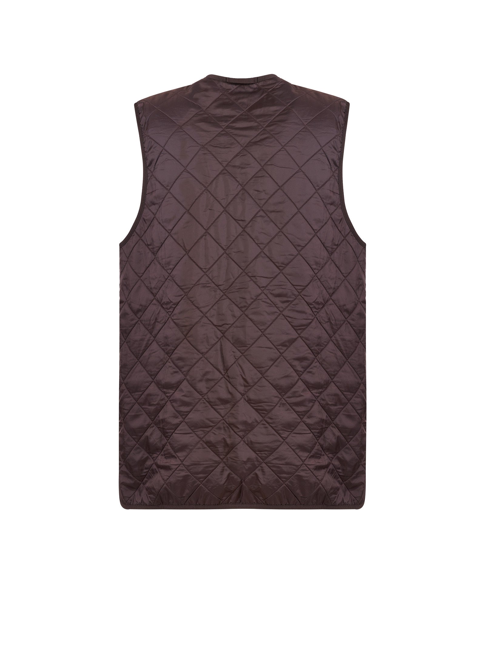 Immagine diapositiva