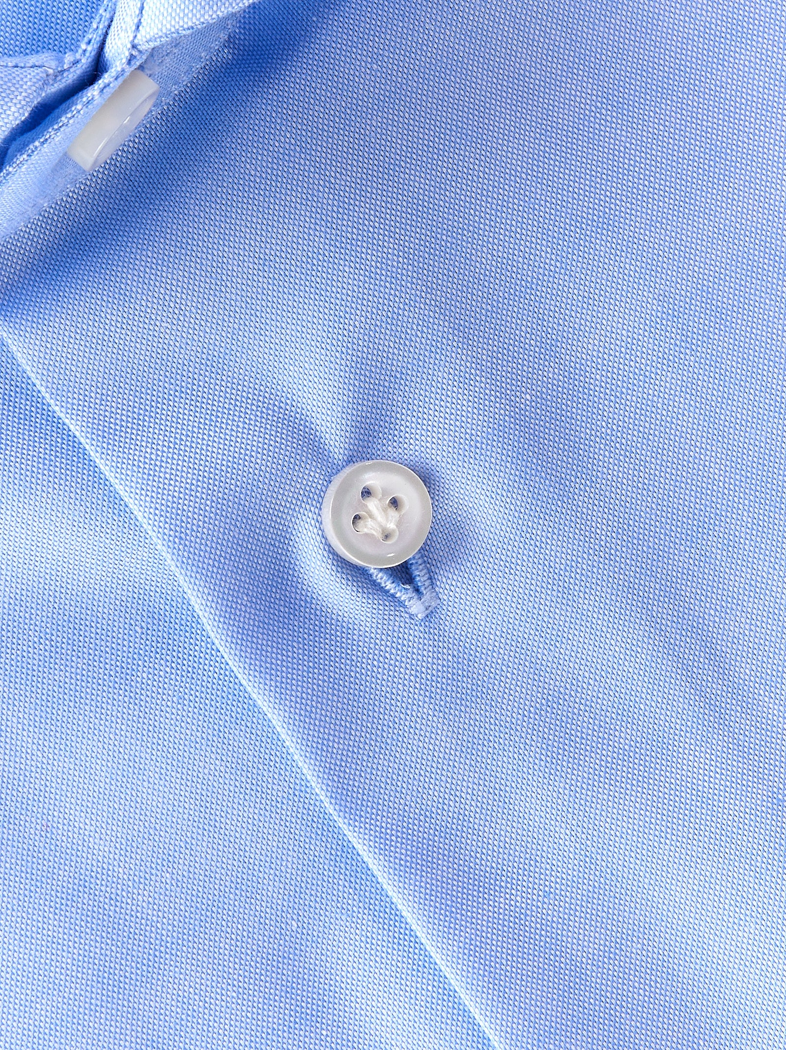 Immagine diapositiva