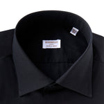 Immagine diapositiva