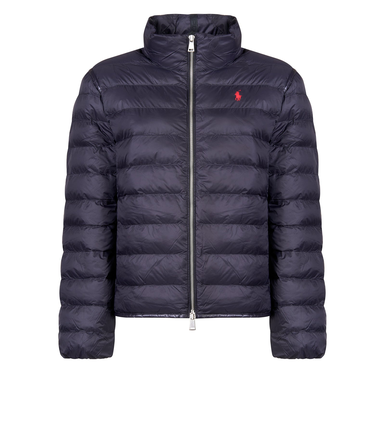 Immagine diapositiva