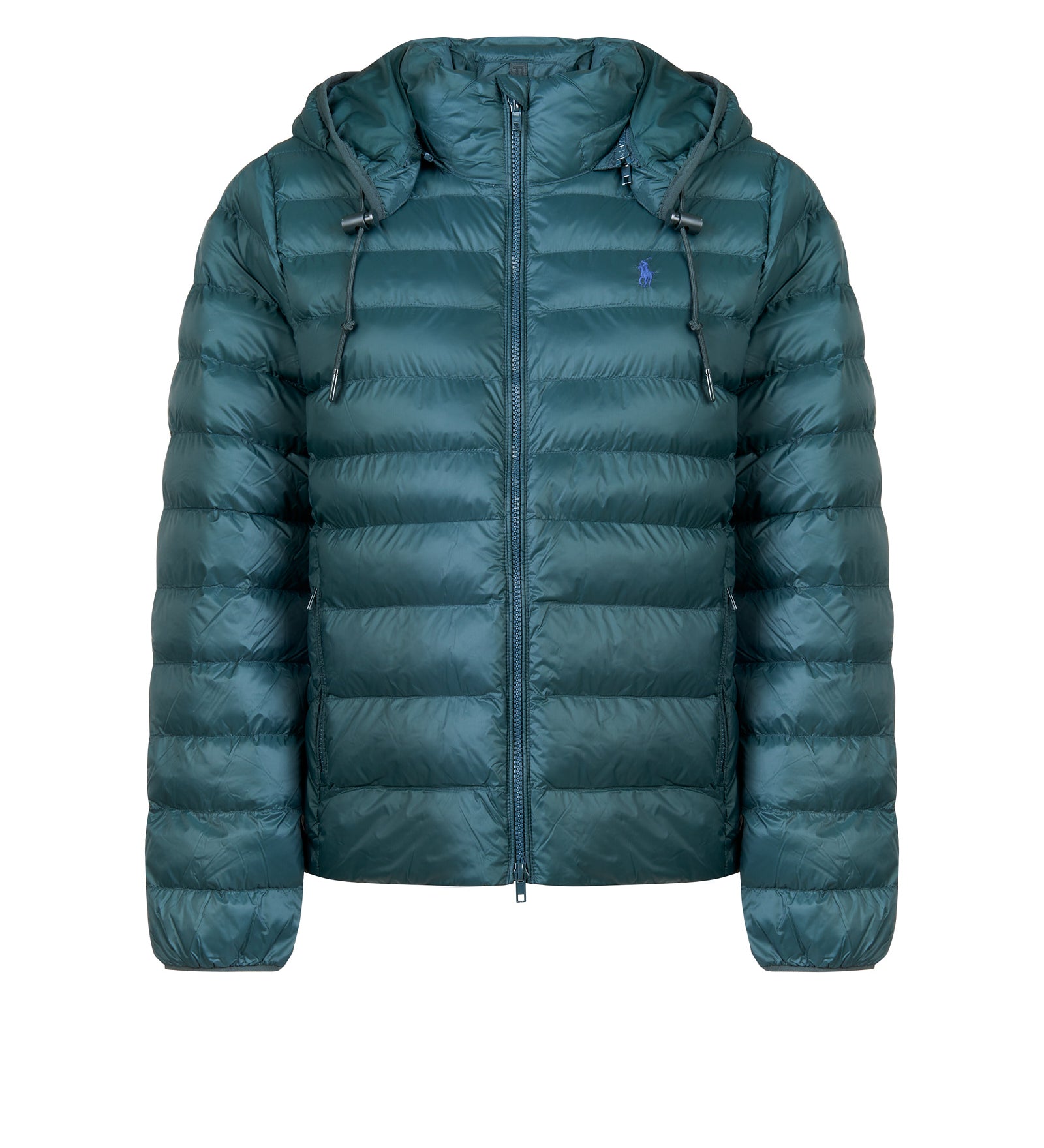 Immagine diapositiva