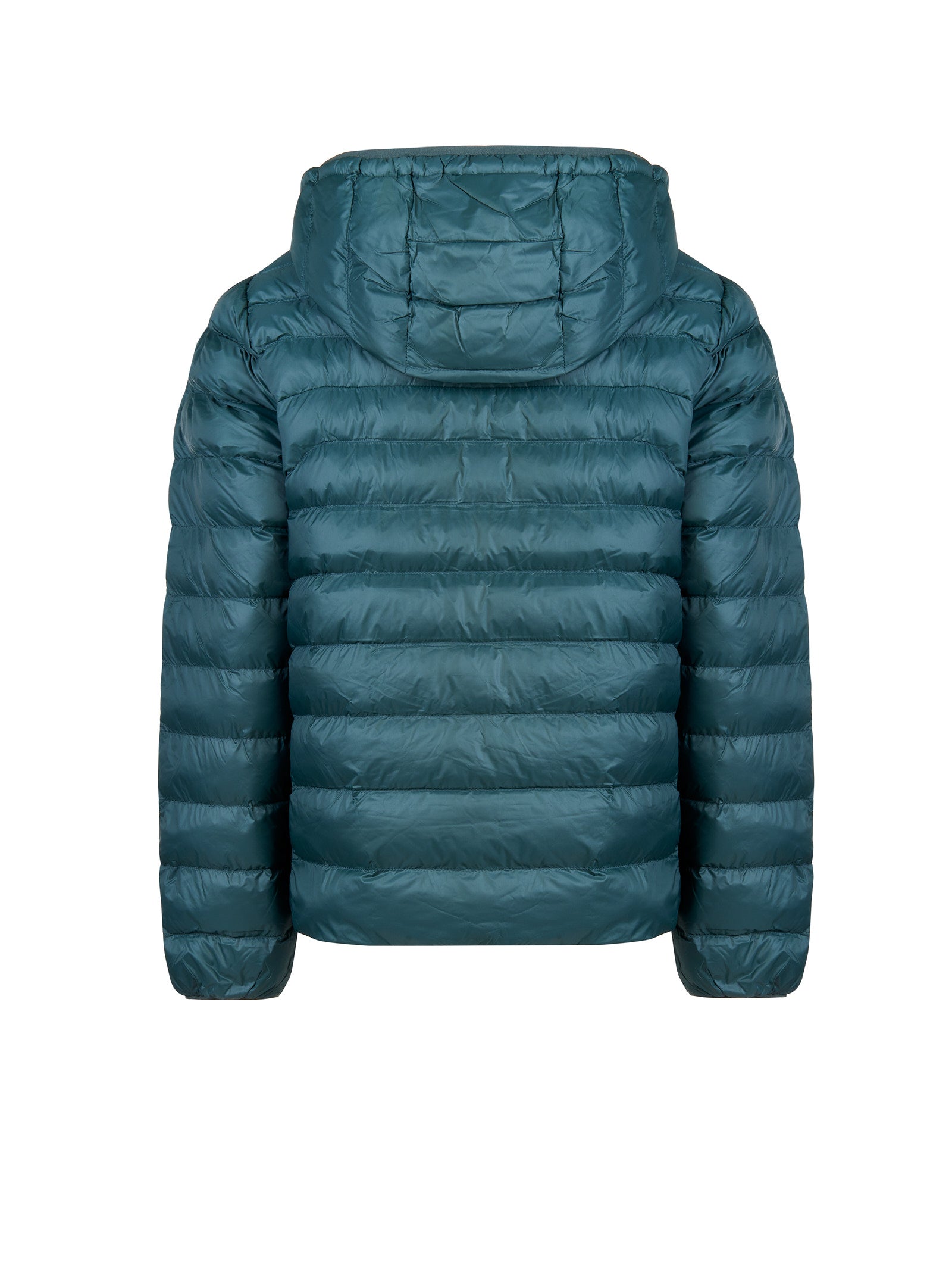 Immagine diapositiva