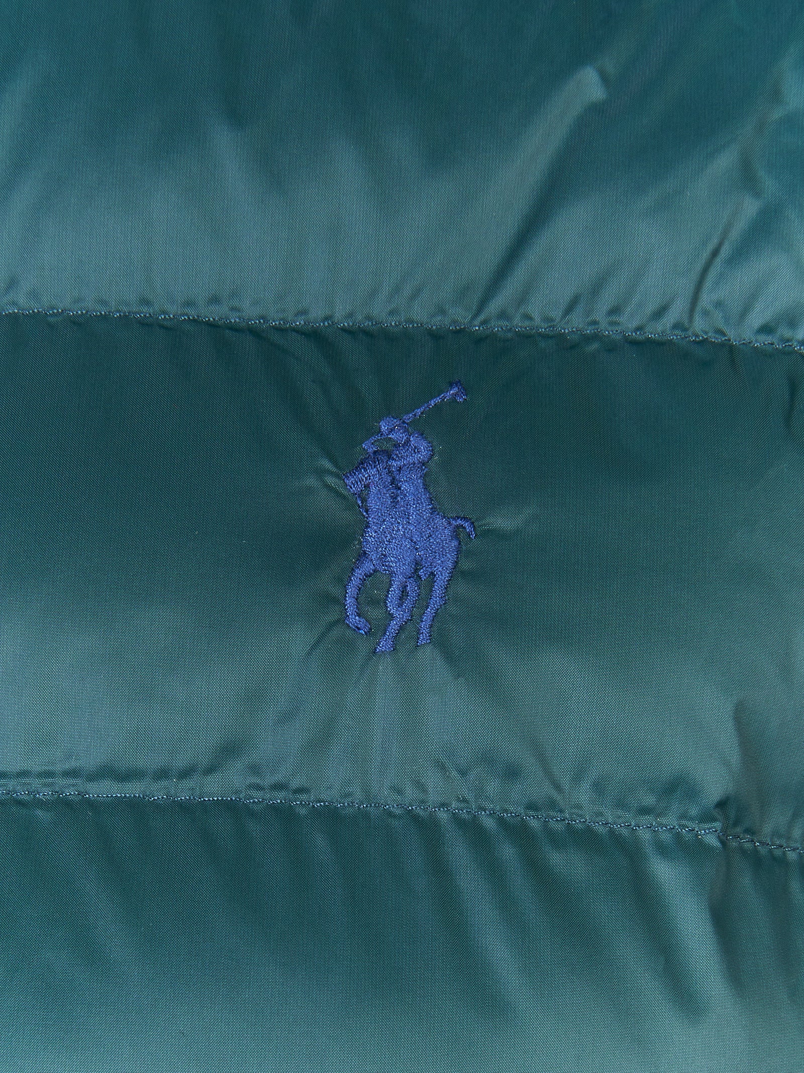 Immagine diapositiva