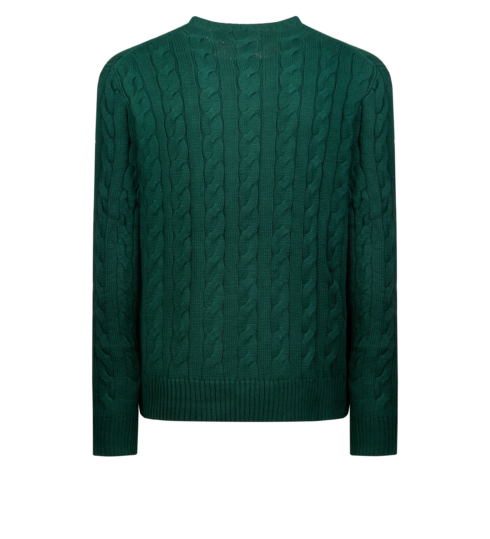 Maglia POLO RALPH LAUREN
Vintage pine