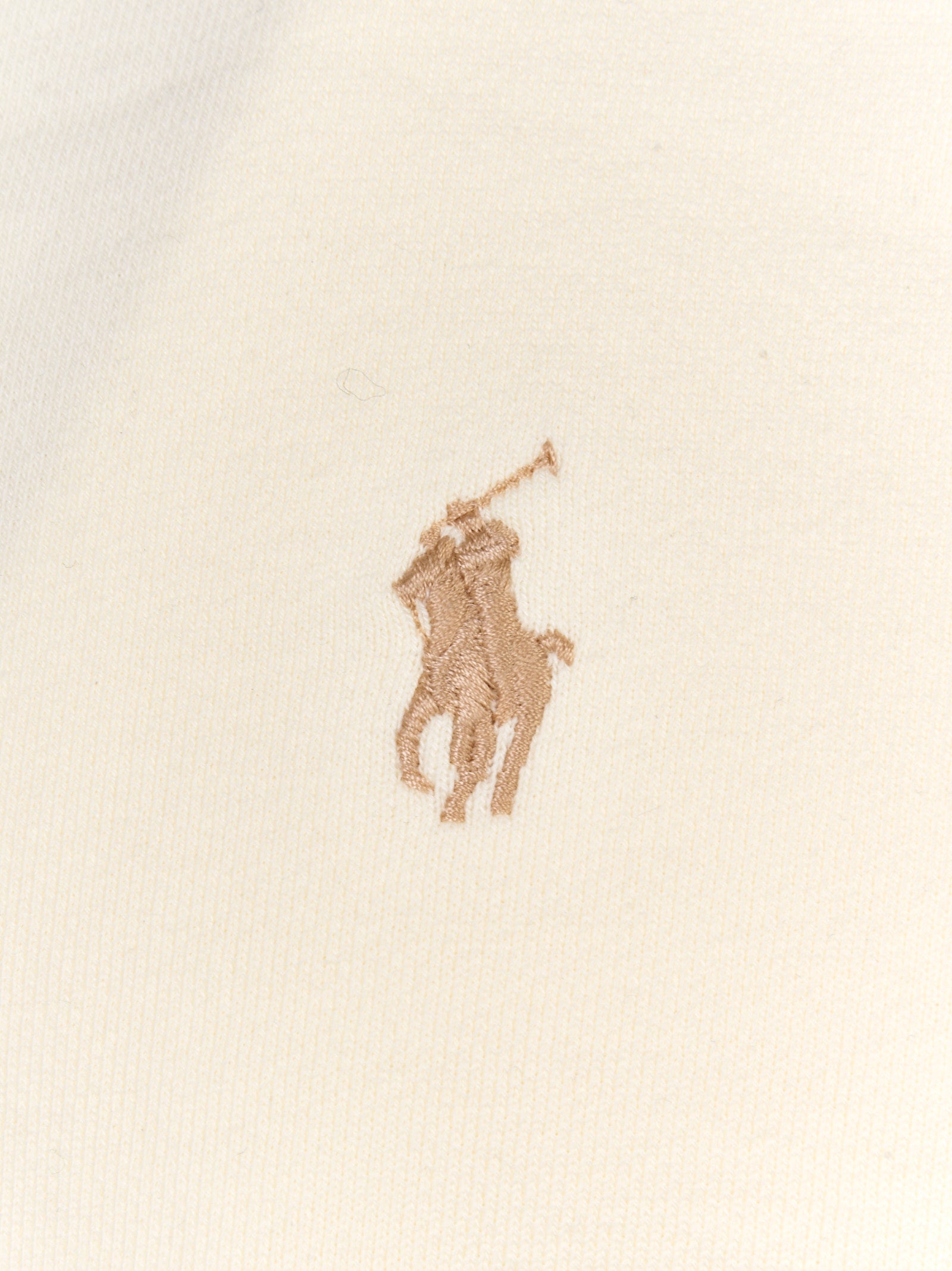 Immagine diapositiva