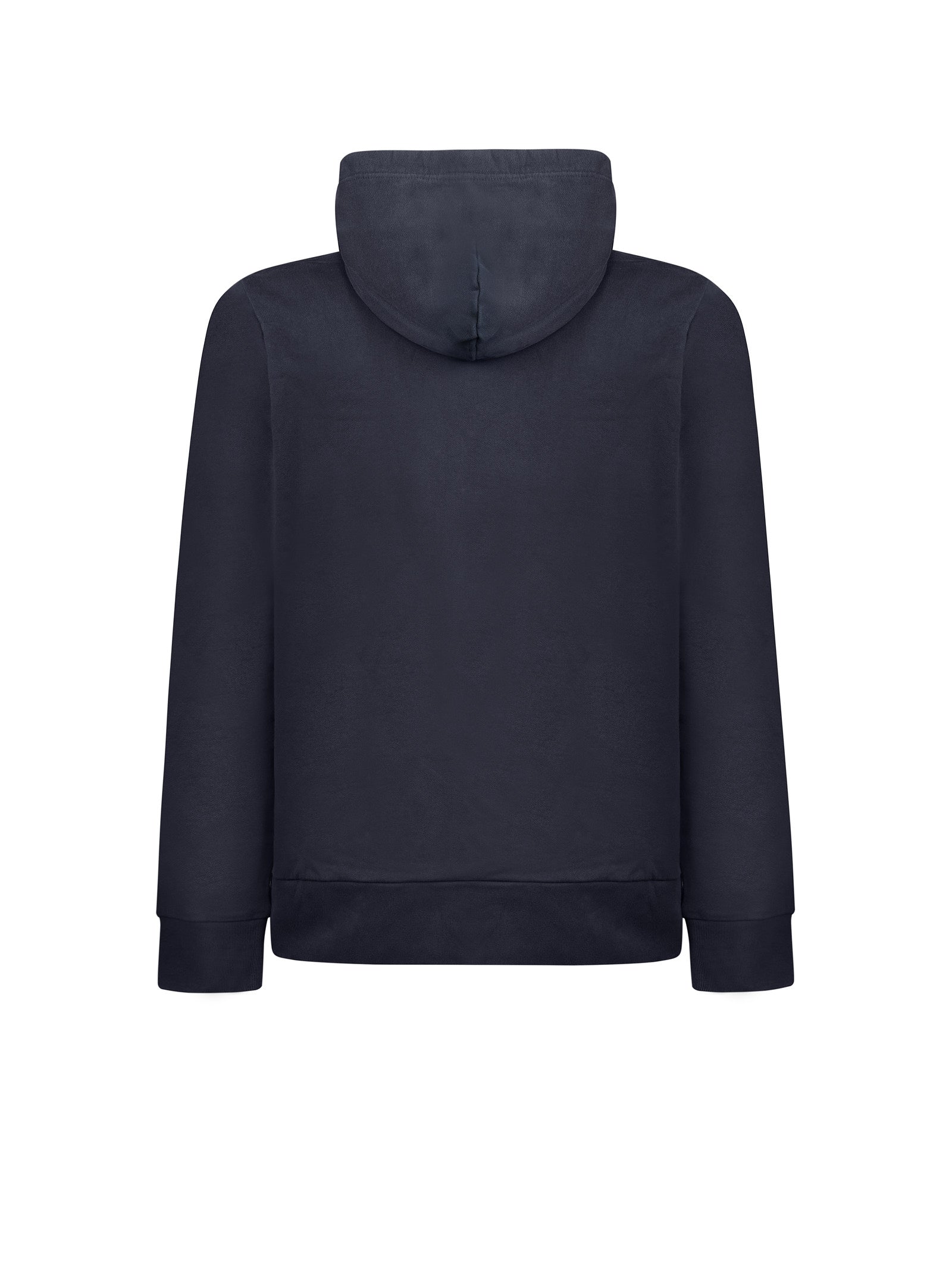 Immagine diapositiva