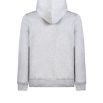 Immagine diapositiva