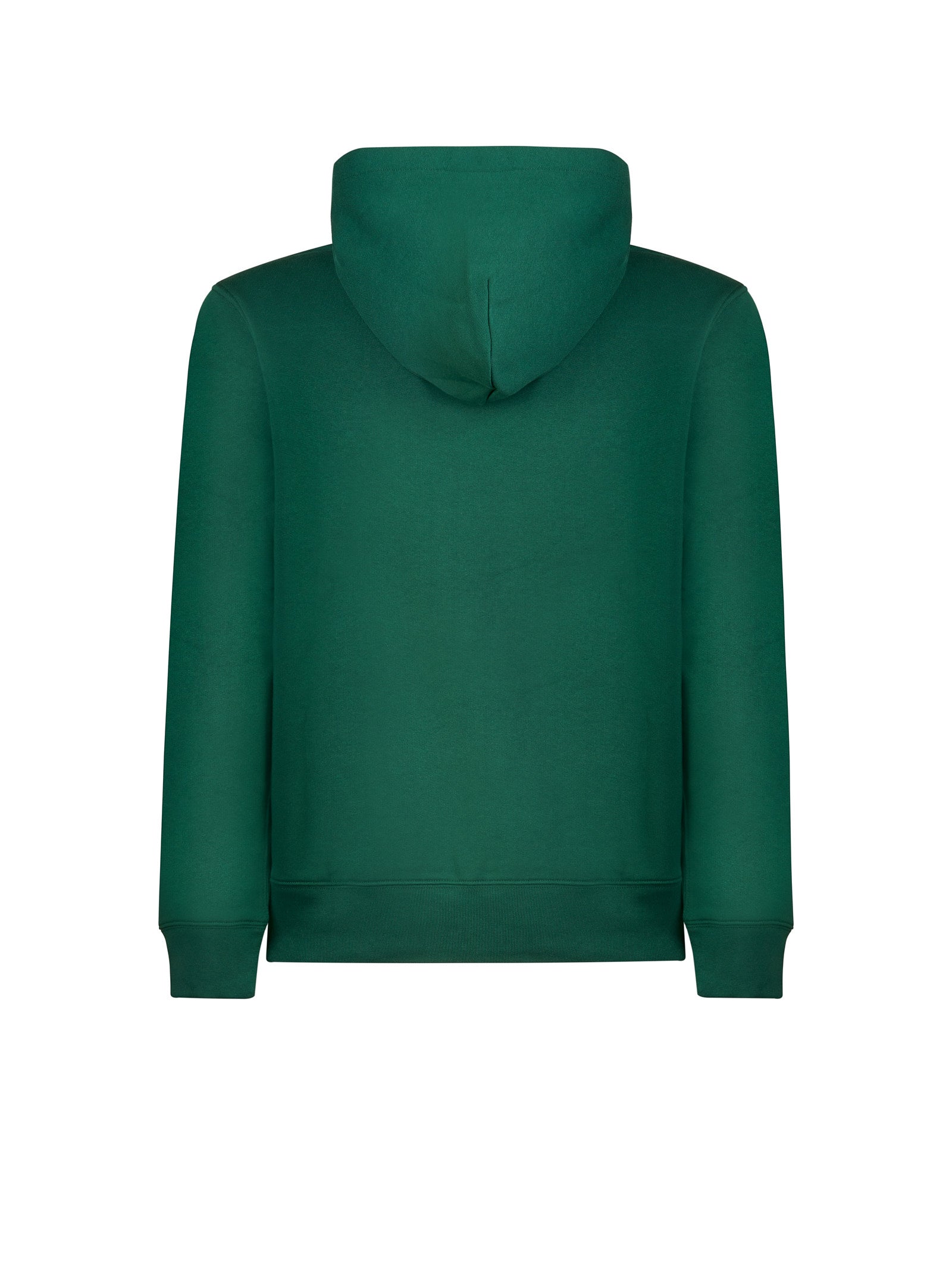 Immagine diapositiva