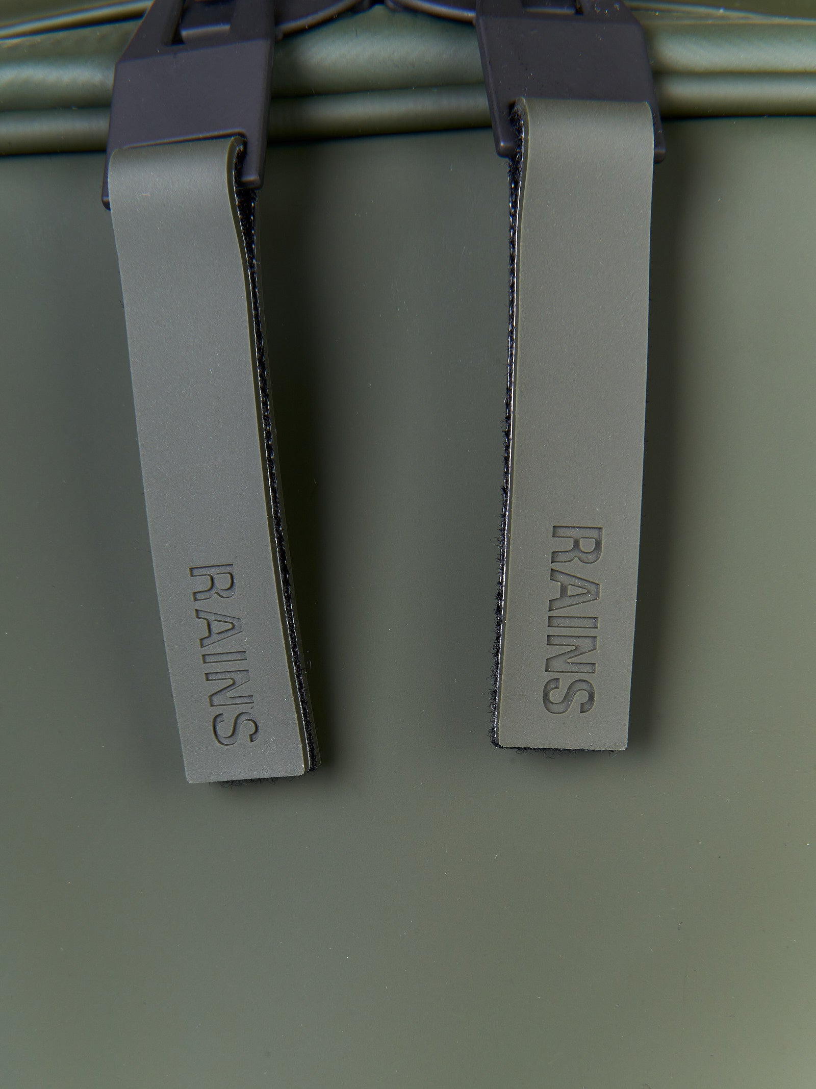 Immagine diapositiva