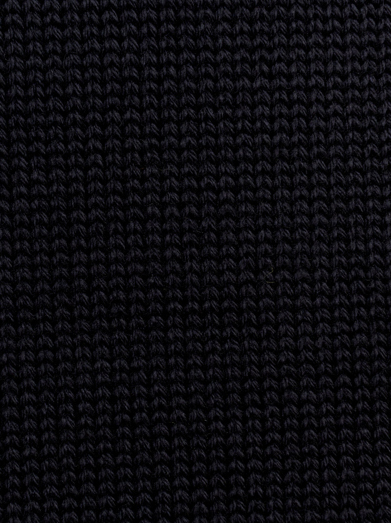 Immagine diapositiva