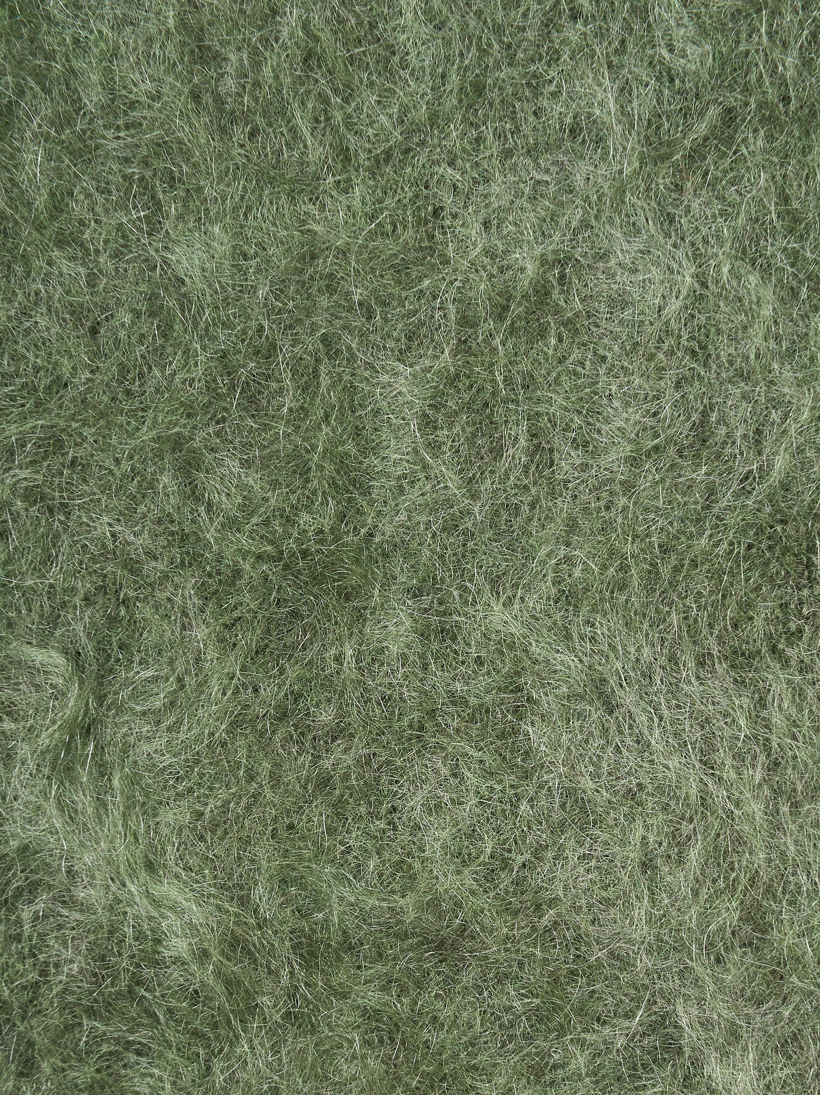 Maglia ABSOLUT CASHMERE Nicoletta
Verde