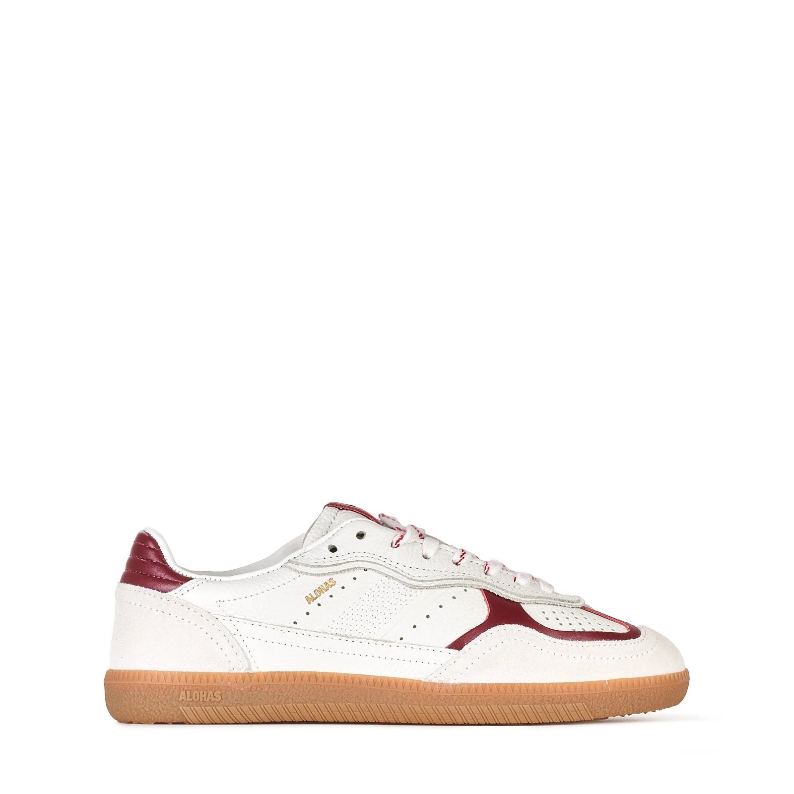 Immagine diapositiva