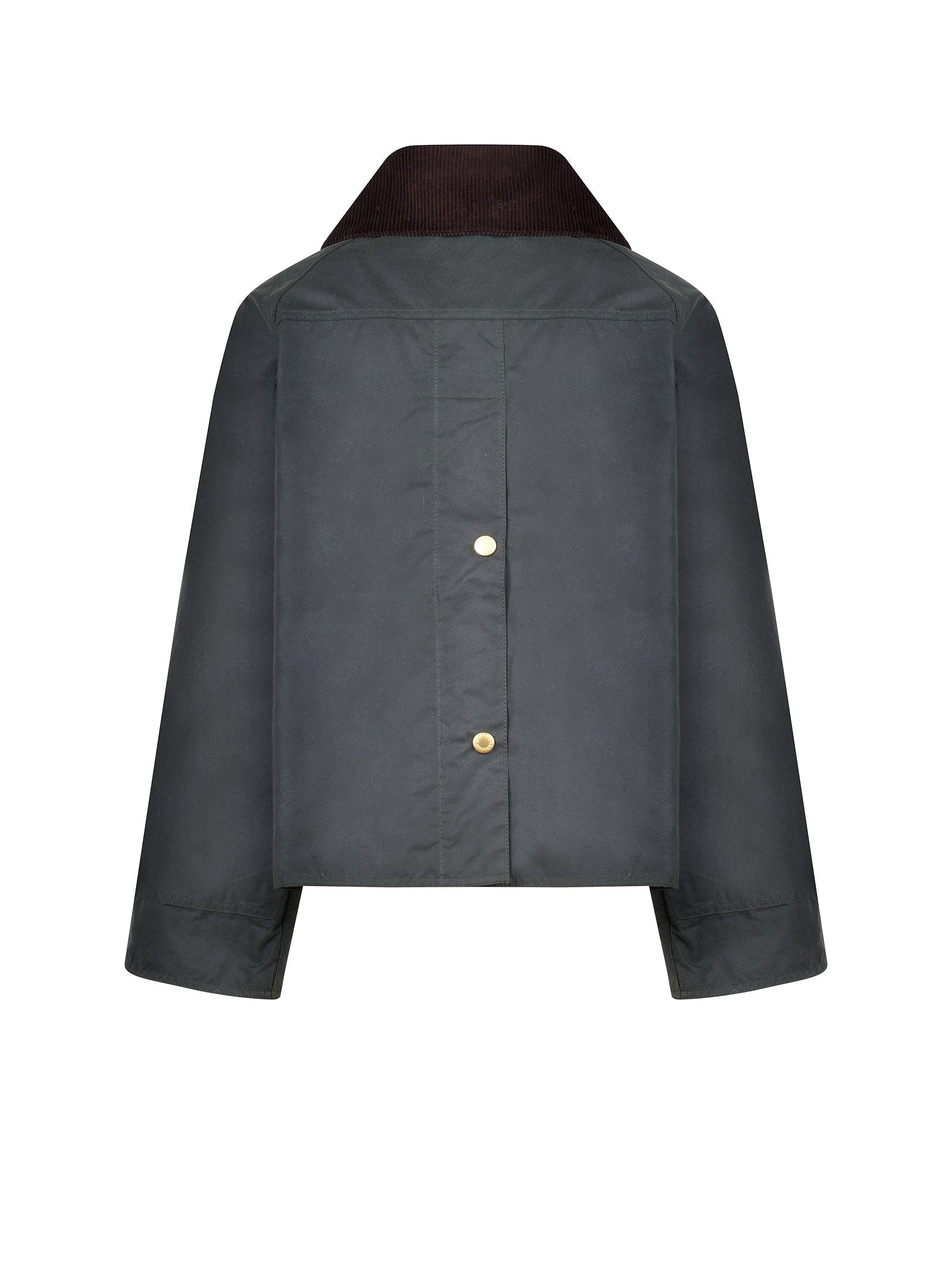 Giubbotto BARBOUR Catton wax
Sage
