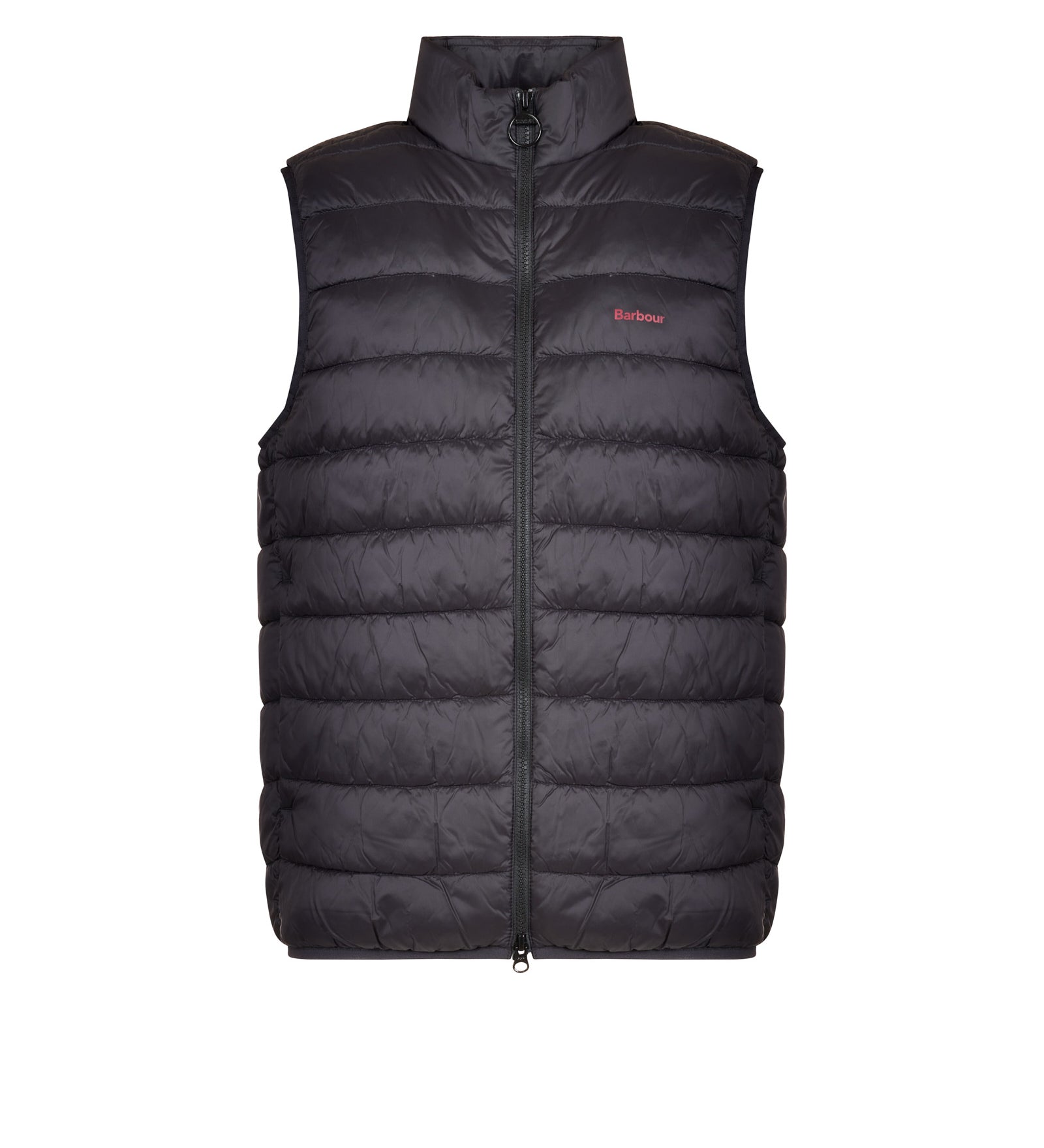 Immagine diapositiva