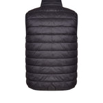 Immagine diapositiva