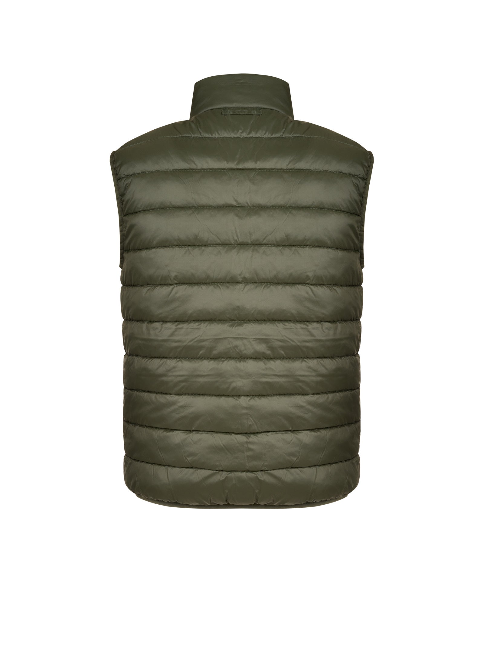 Smanicato BARBOUR
Olive