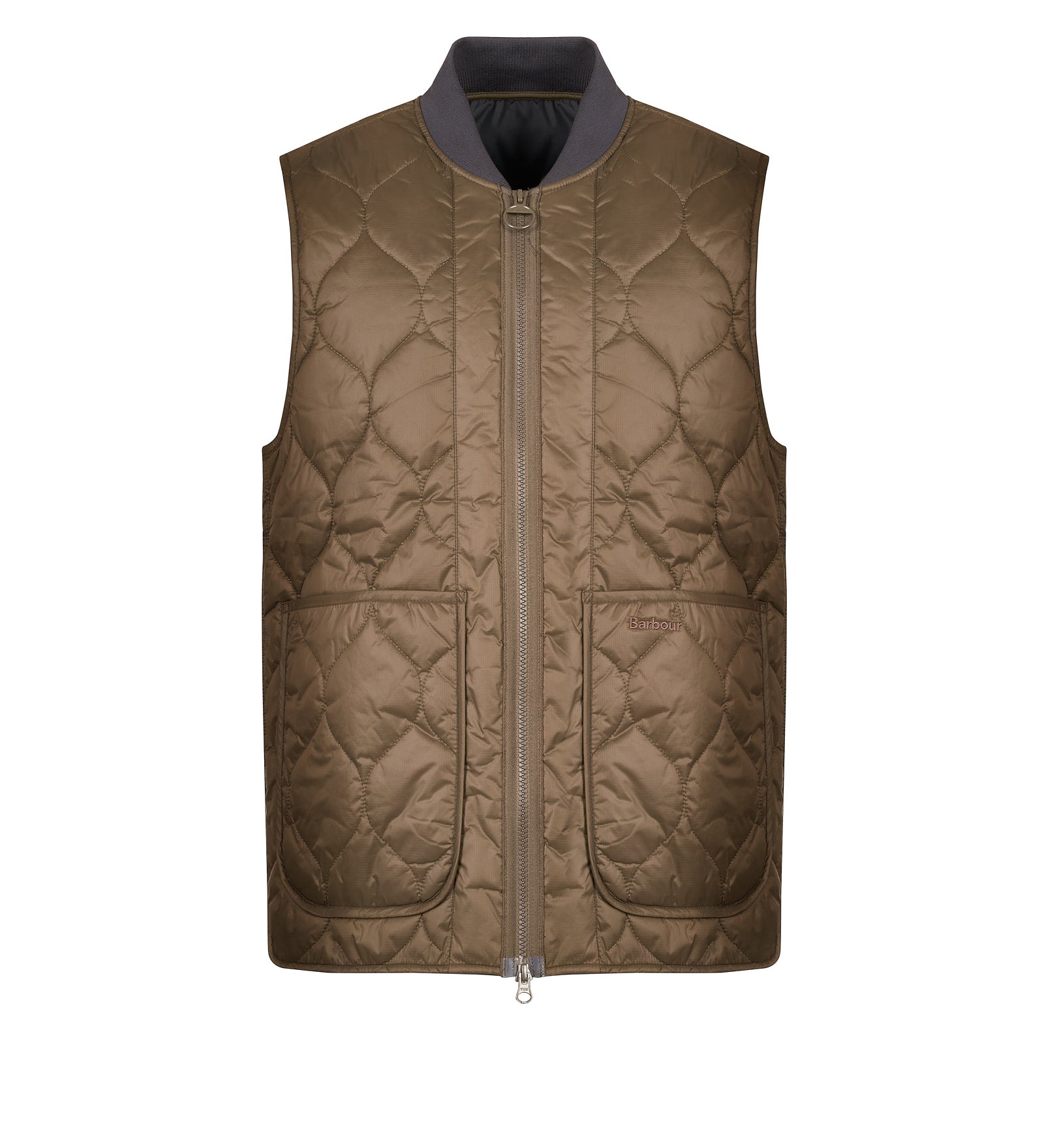 Immagine diapositiva