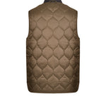 Immagine diapositiva