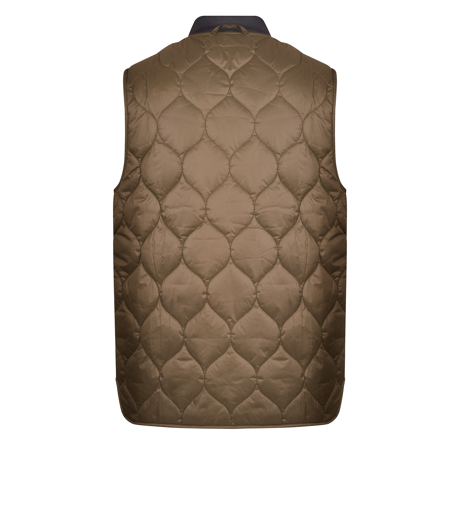 Fodera BARBOUR
Dark olive