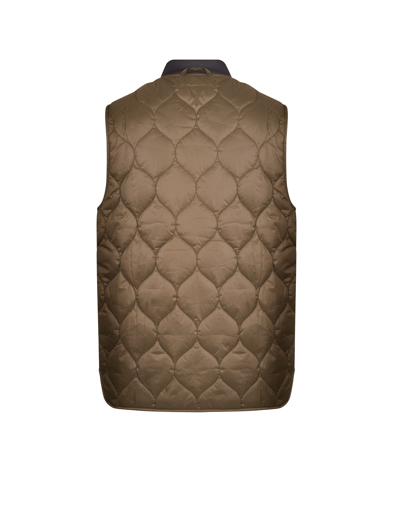 Immagine diapositiva