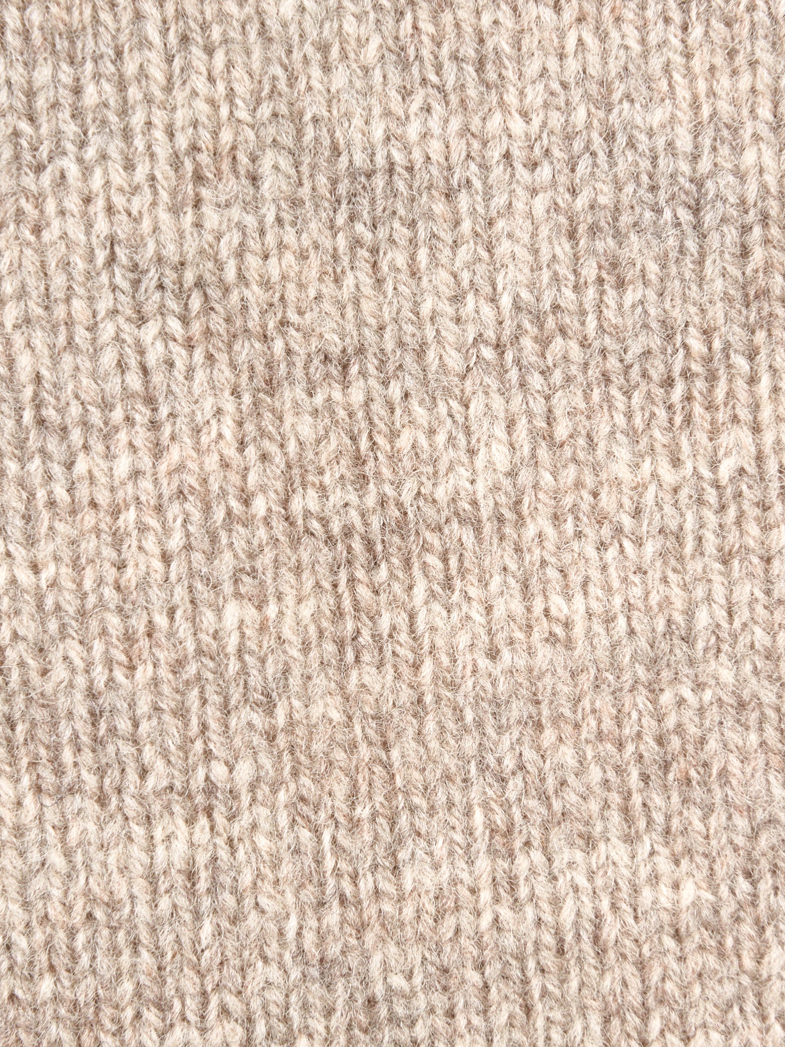 Immagine diapositiva