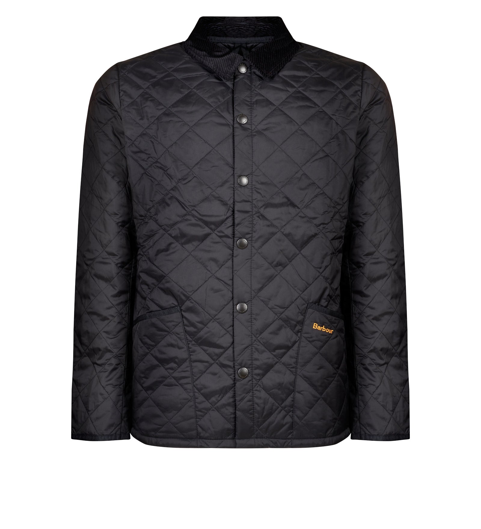 Immagine diapositiva