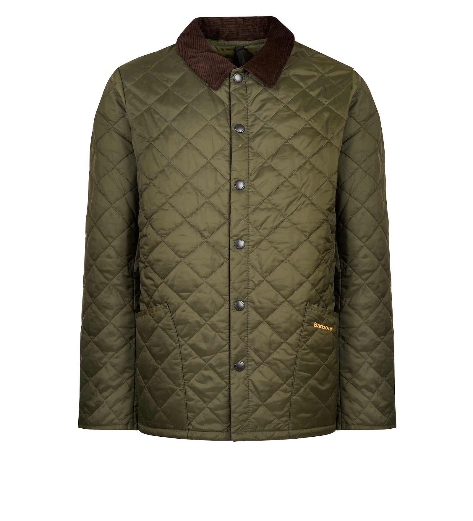 Immagine diapositiva