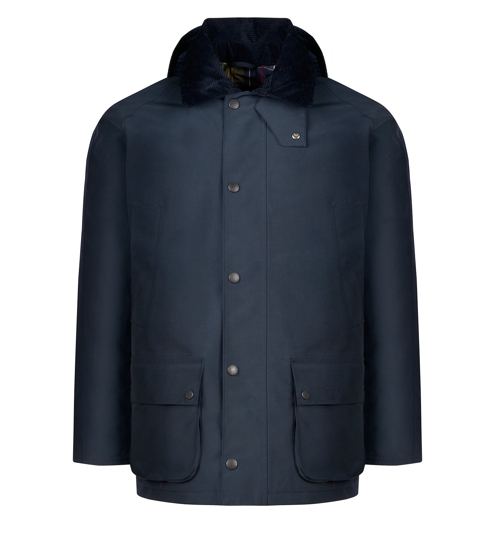 Immagine diapositiva