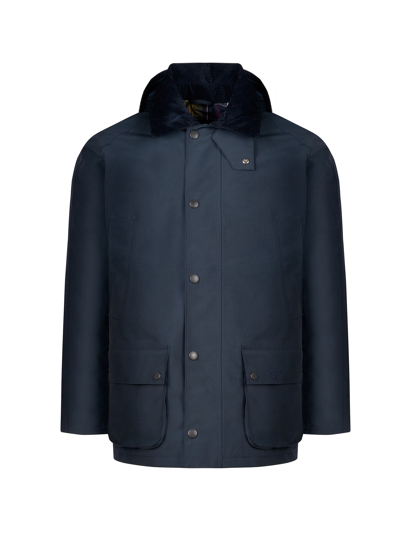 Immagine diapositiva