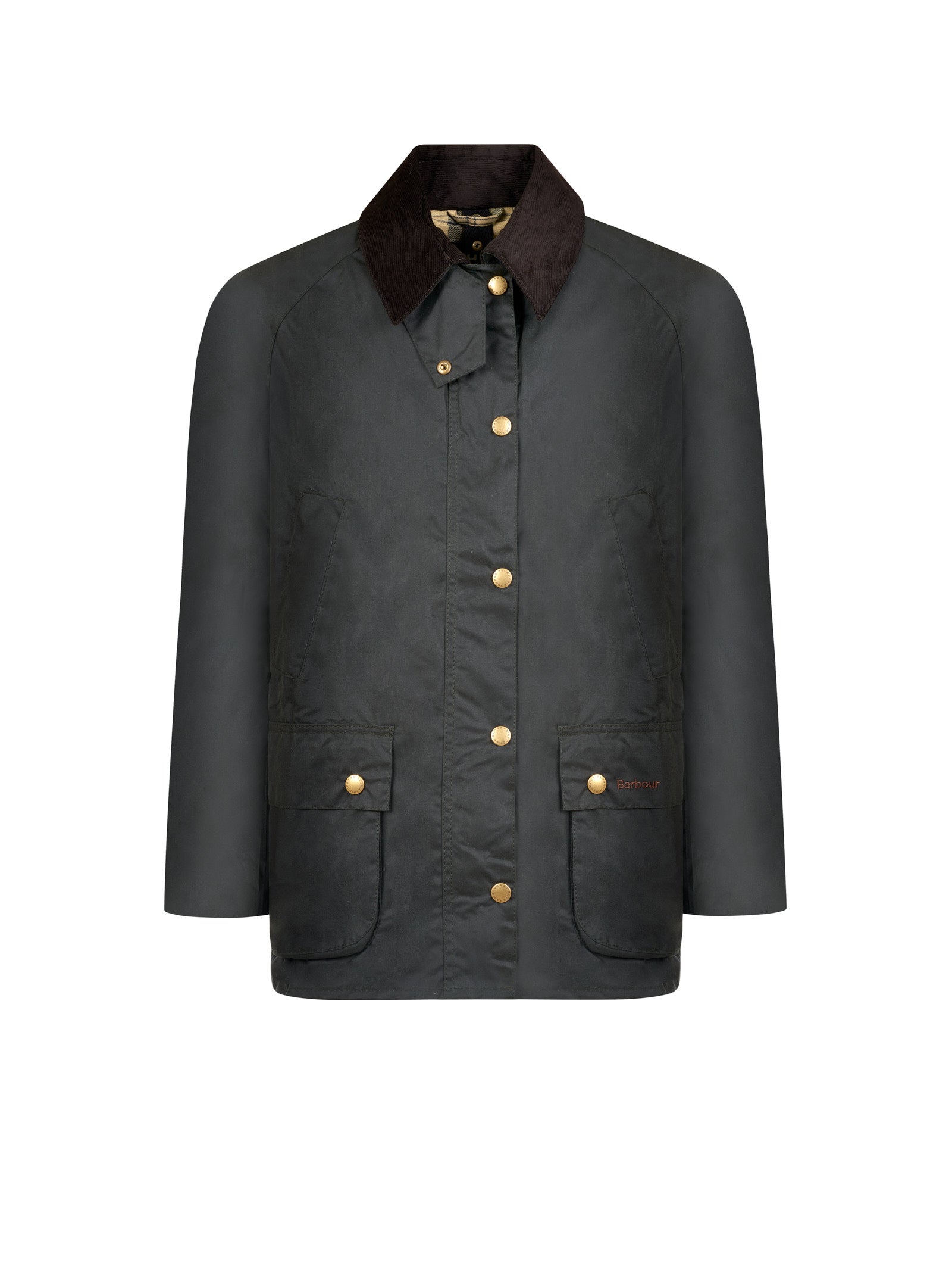 Giubbotto BARBOUR
Sage