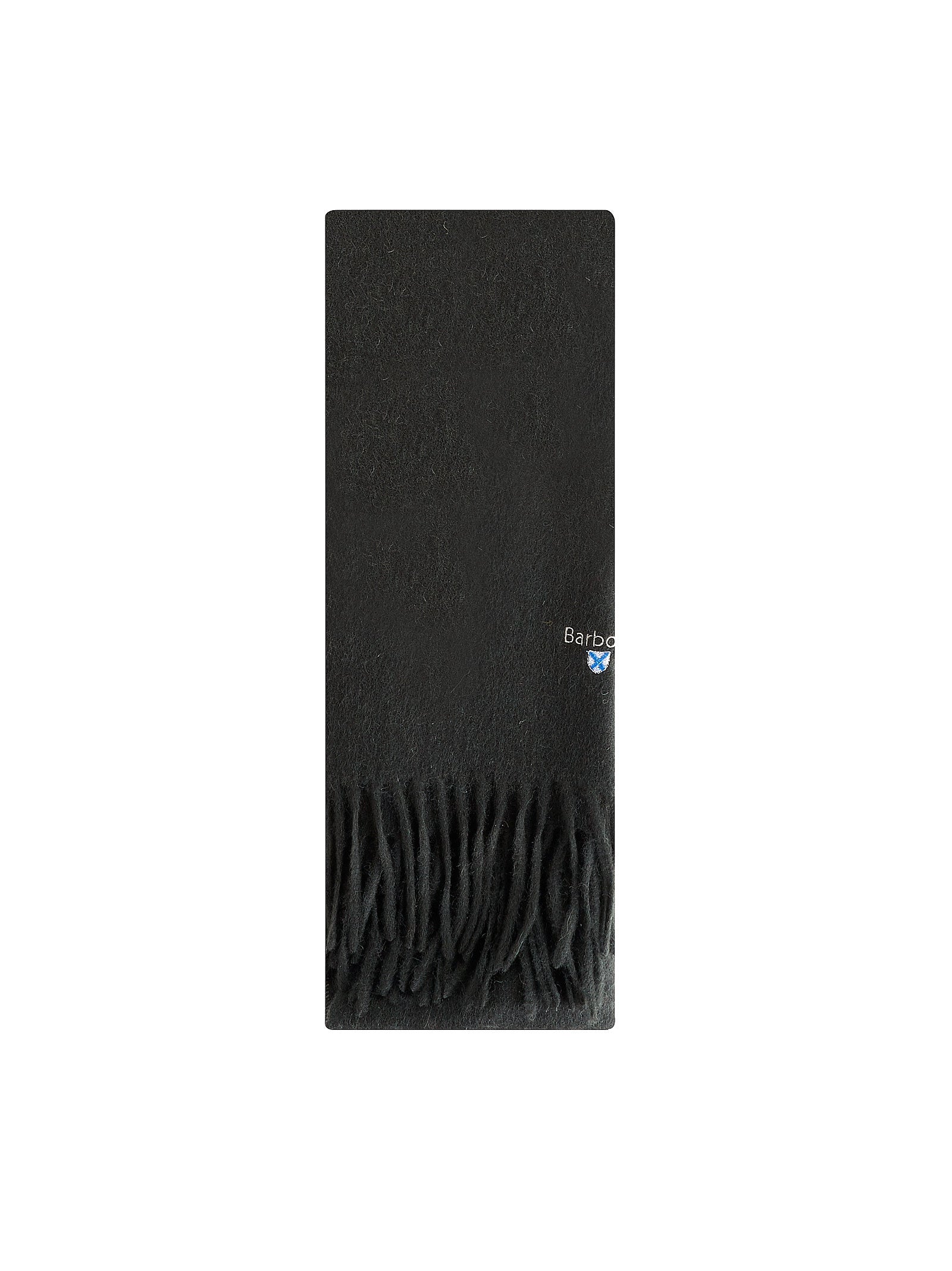 Immagine diapositiva