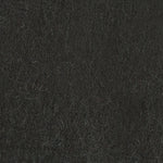 Immagine diapositiva