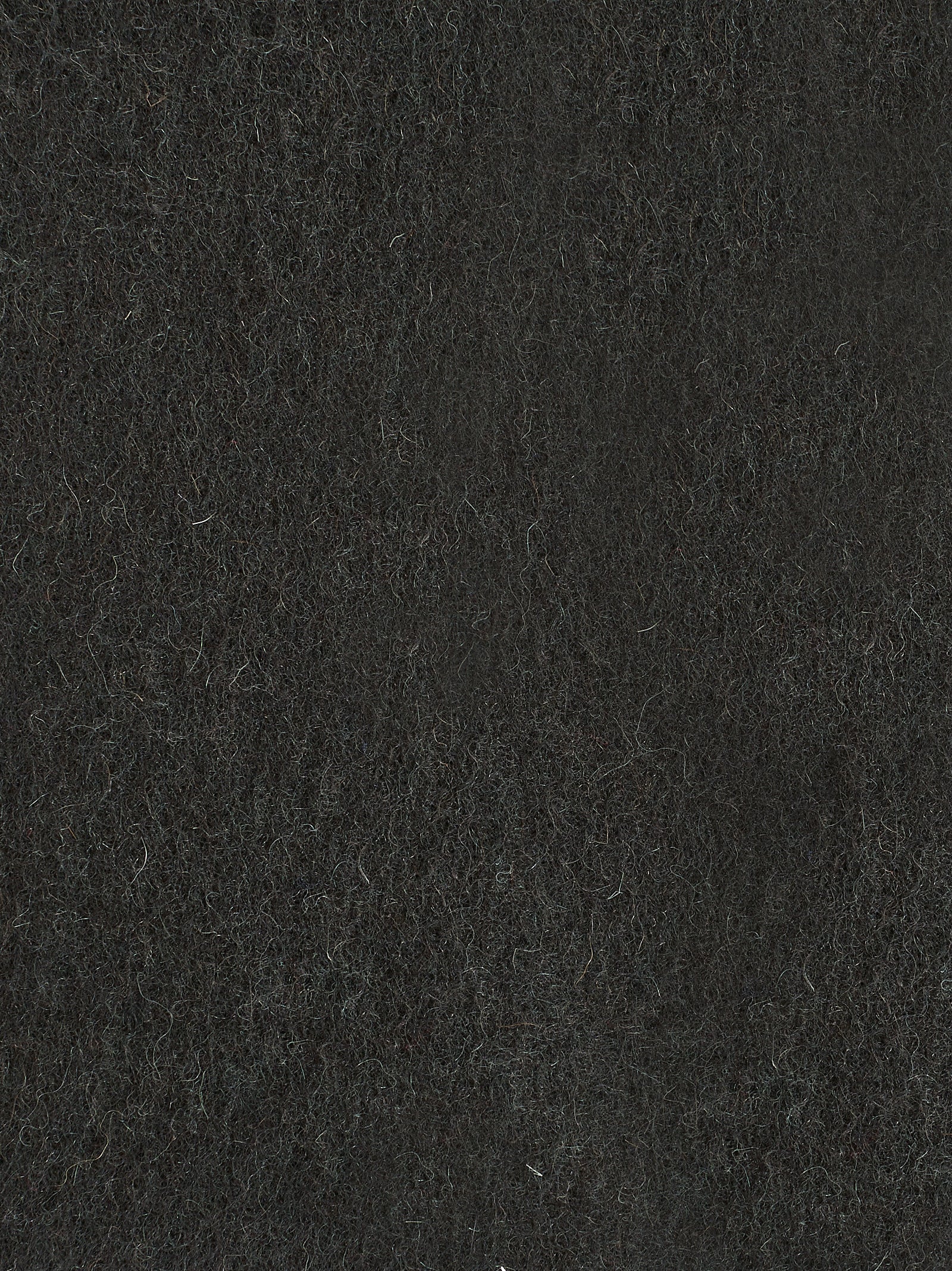 Immagine diapositiva