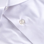 Immagine diapositiva