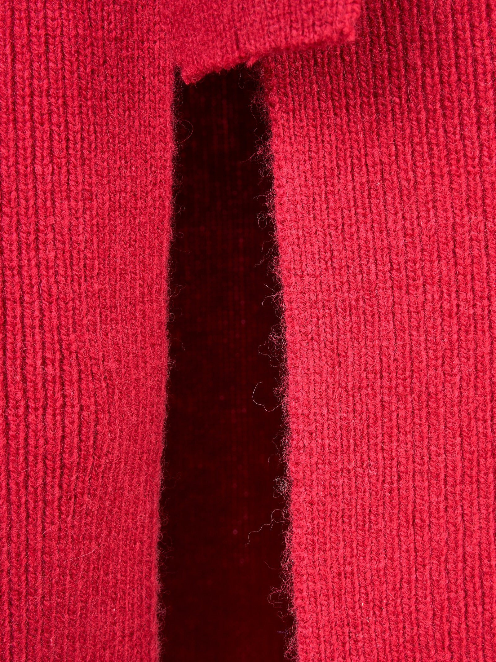 Gonna EMPORIO ARMANI
Rosso