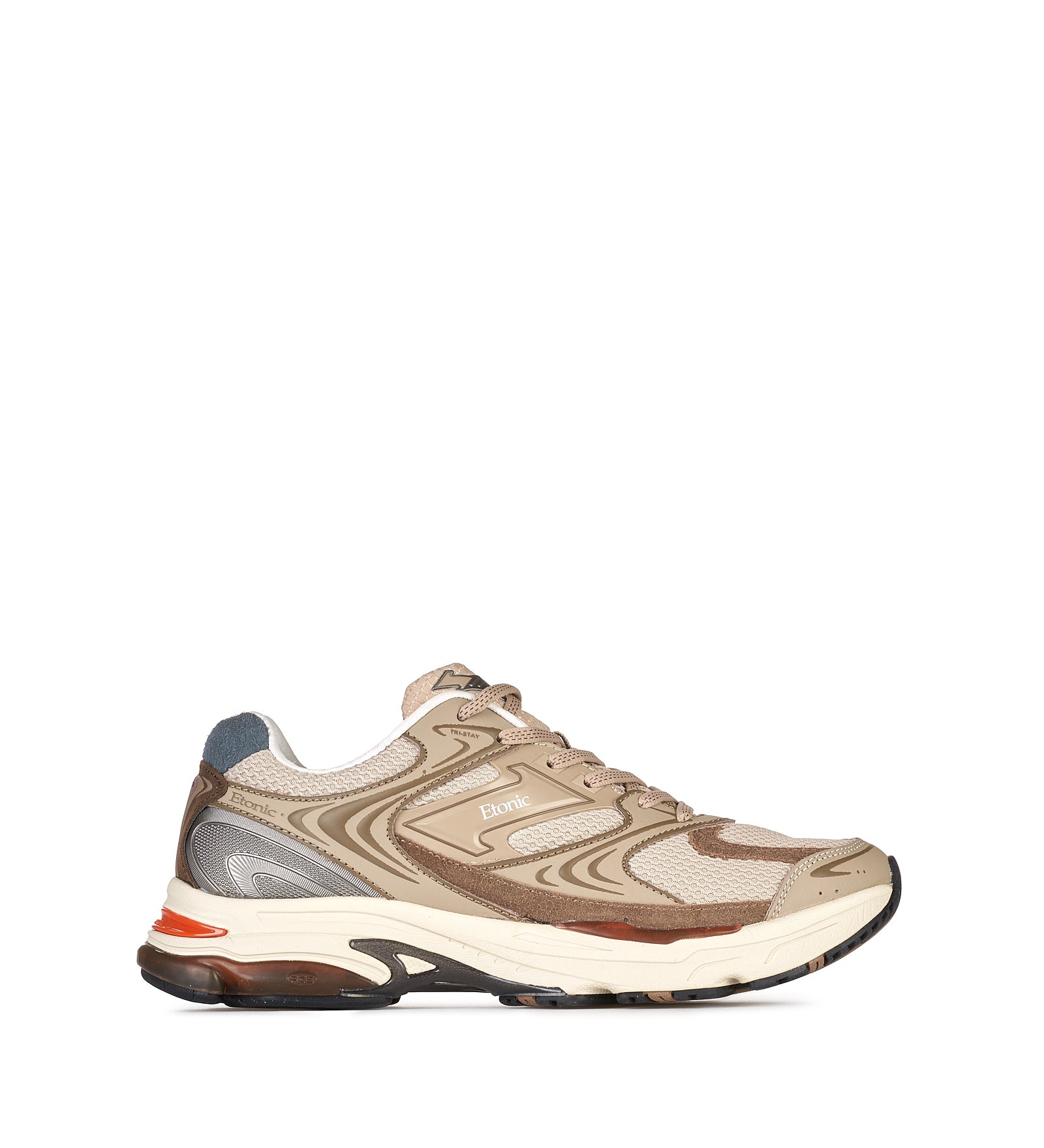 Immagine diapositiva