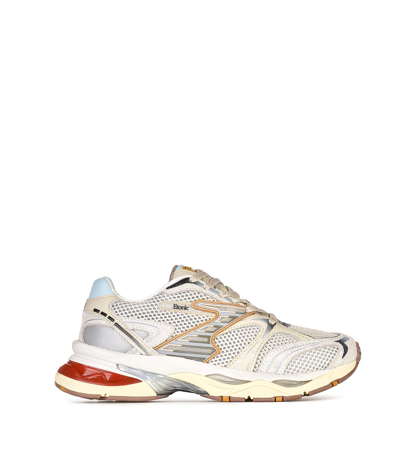 Immagine diapositiva