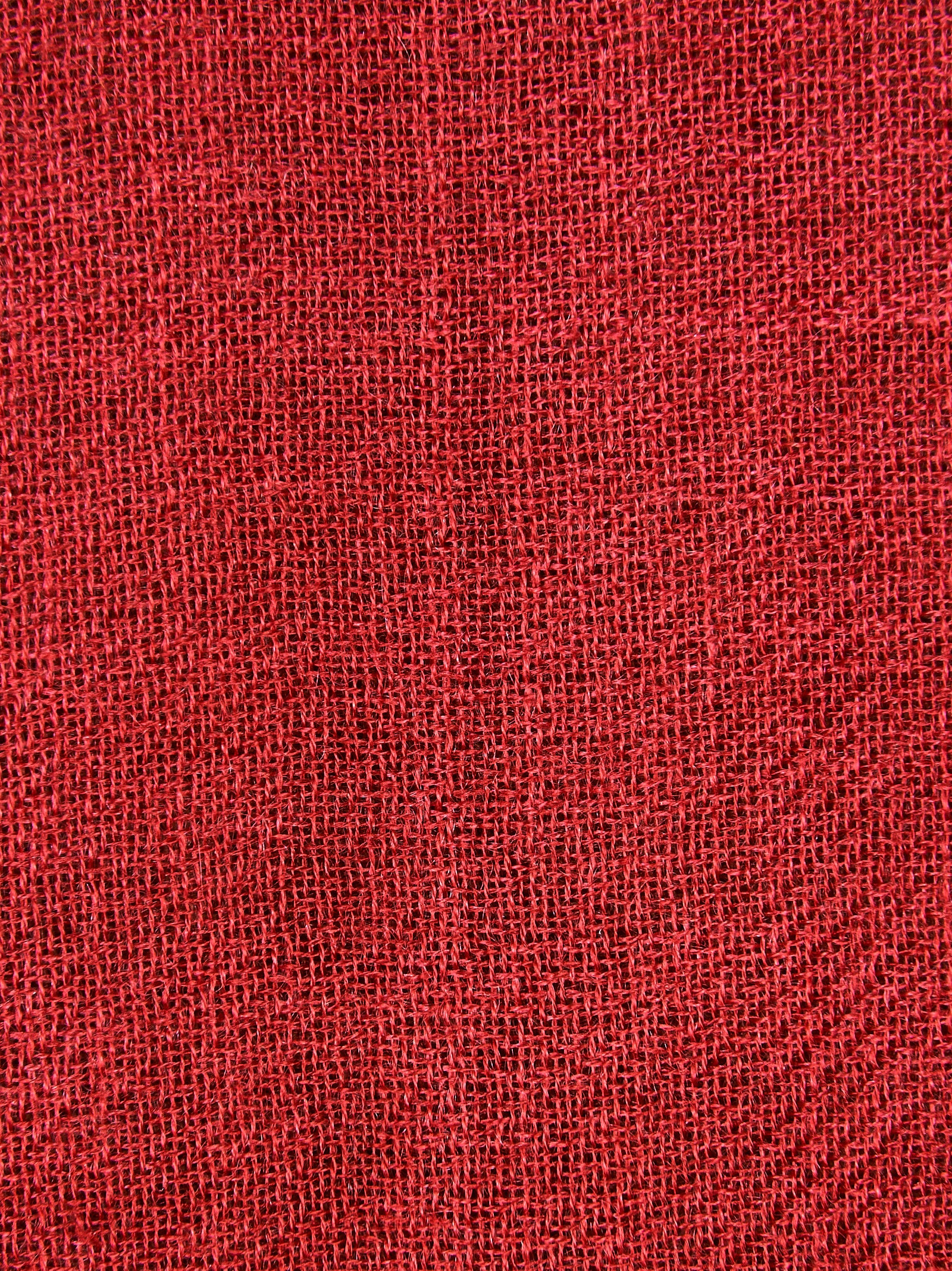 Sciarpa FALIERO SARTI 95x195
Multicolor