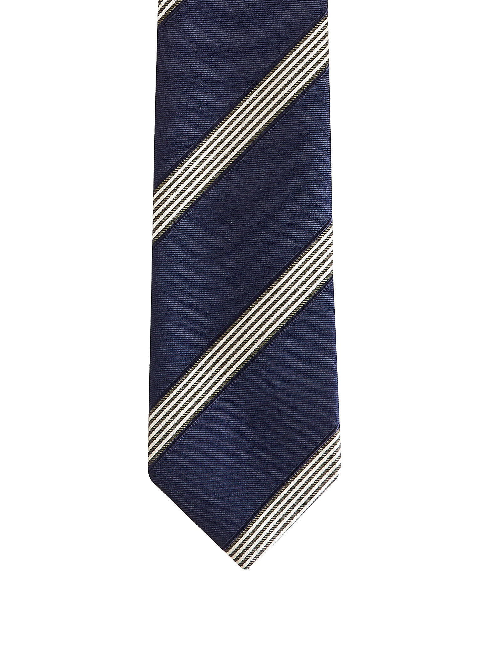 Immagine diapositiva