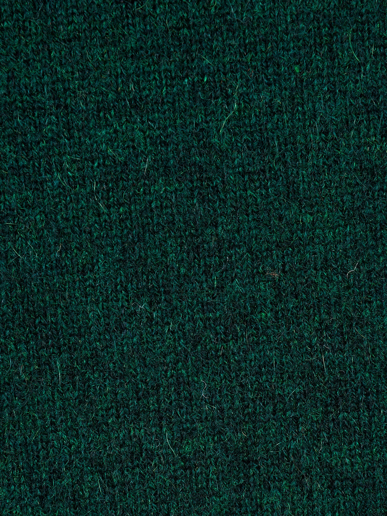 Maglia MC GEORGE OF SCOTLAND
Verde bottiglia