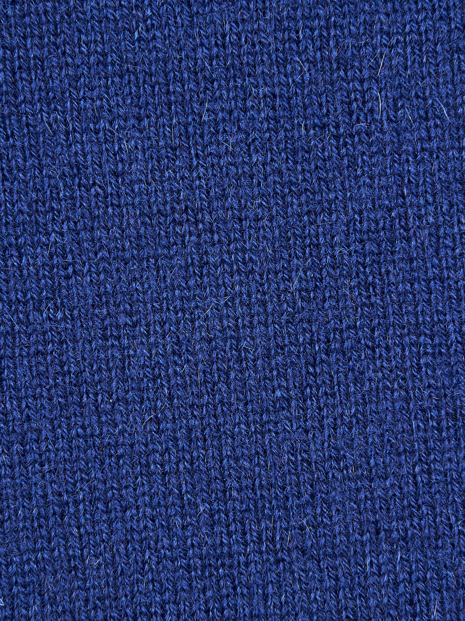 Maglia MC GEORGE OF SCOTLAND
Blu royal