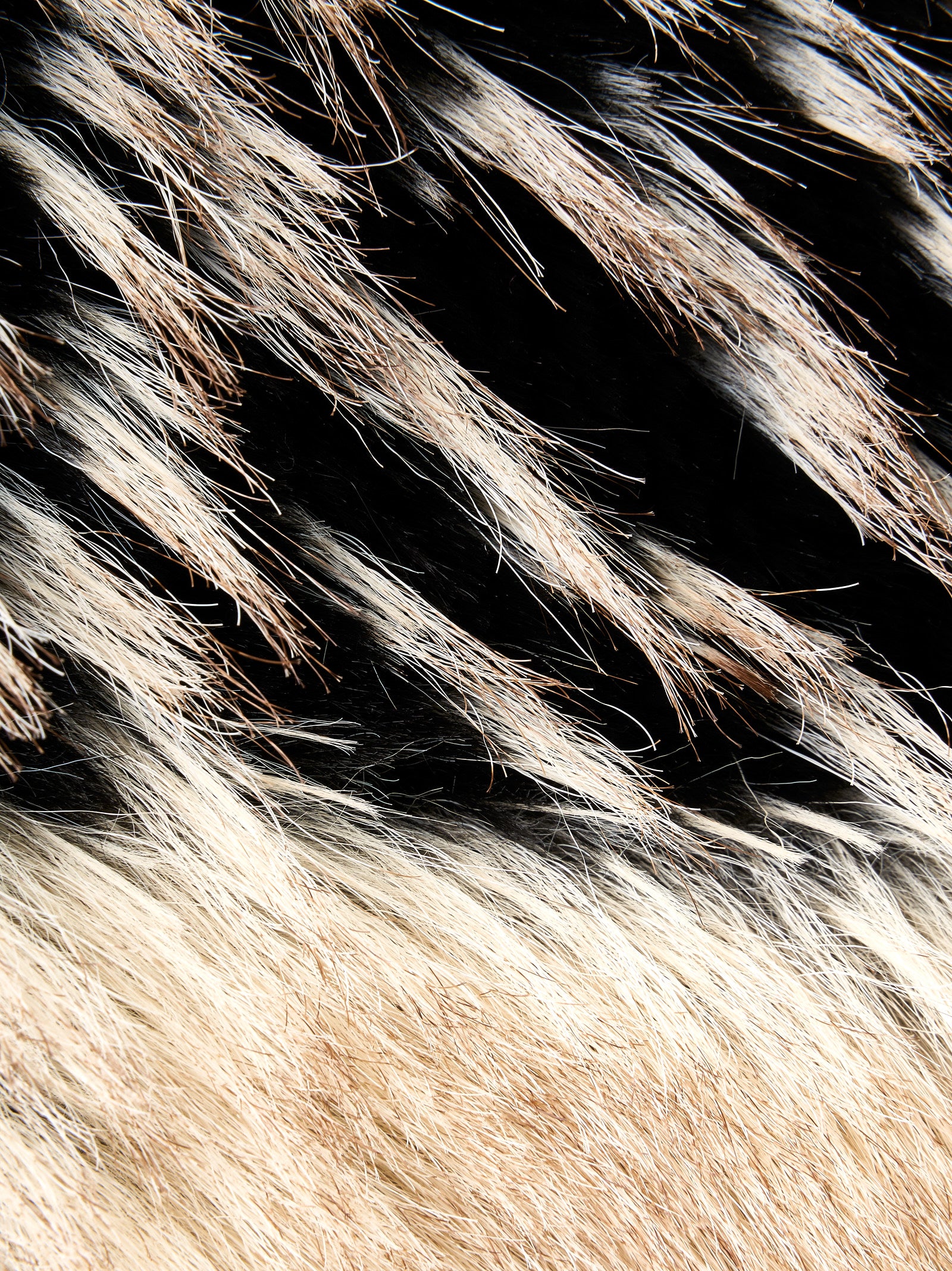 Smanicato MES DEMOISELLES Fasciato
Beige