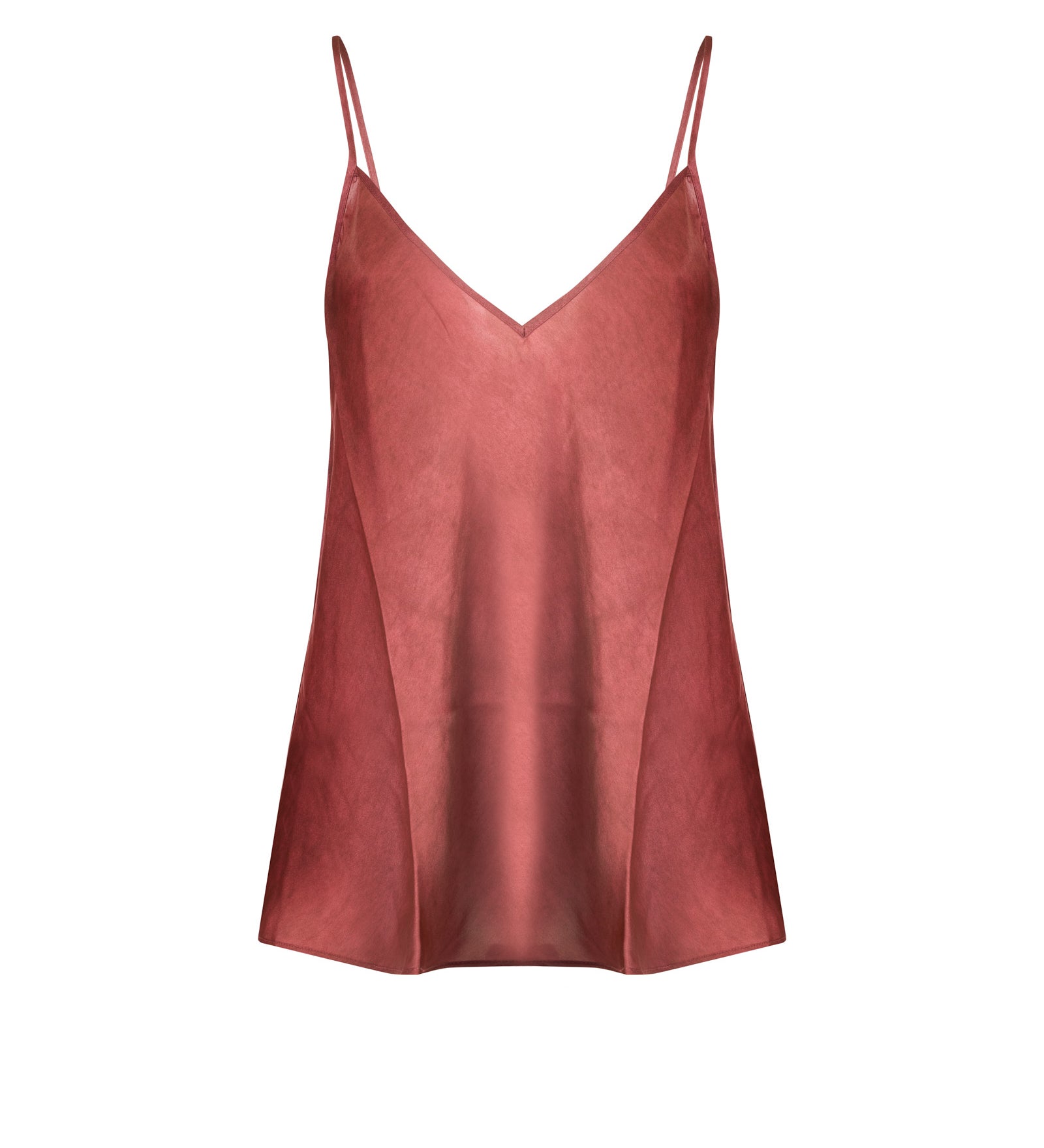 Immagine diapositiva