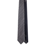 Immagine diapositiva