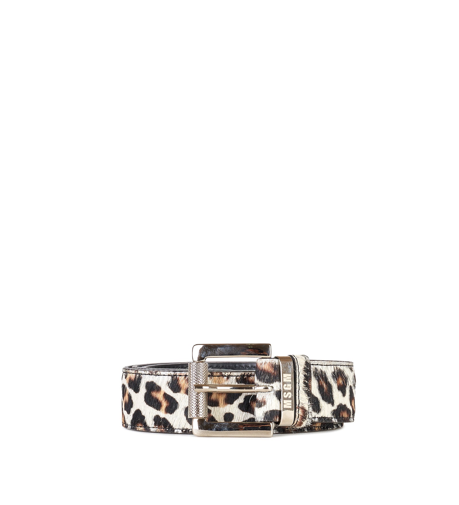 Immagine diapositiva