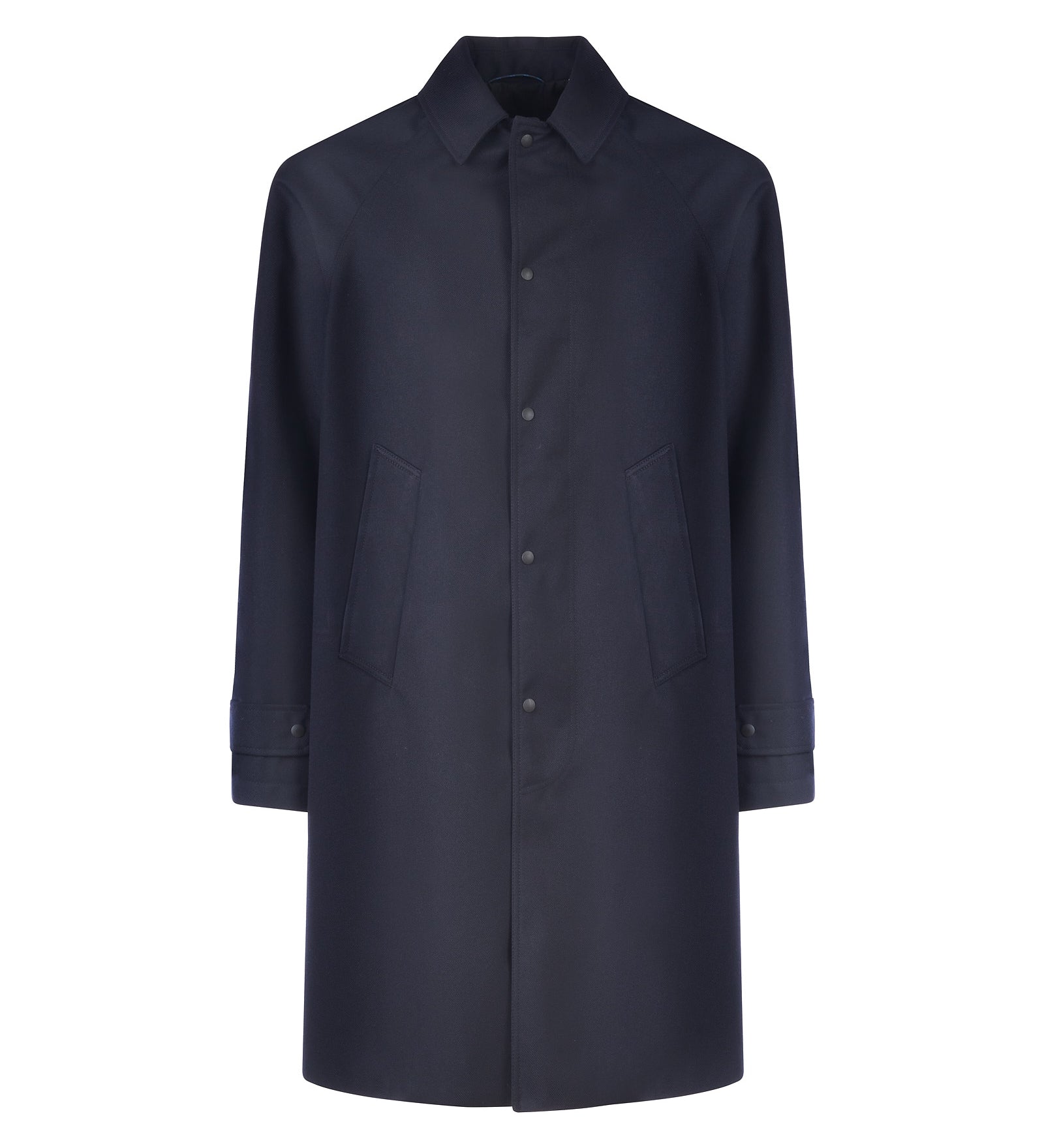 Immagine diapositiva