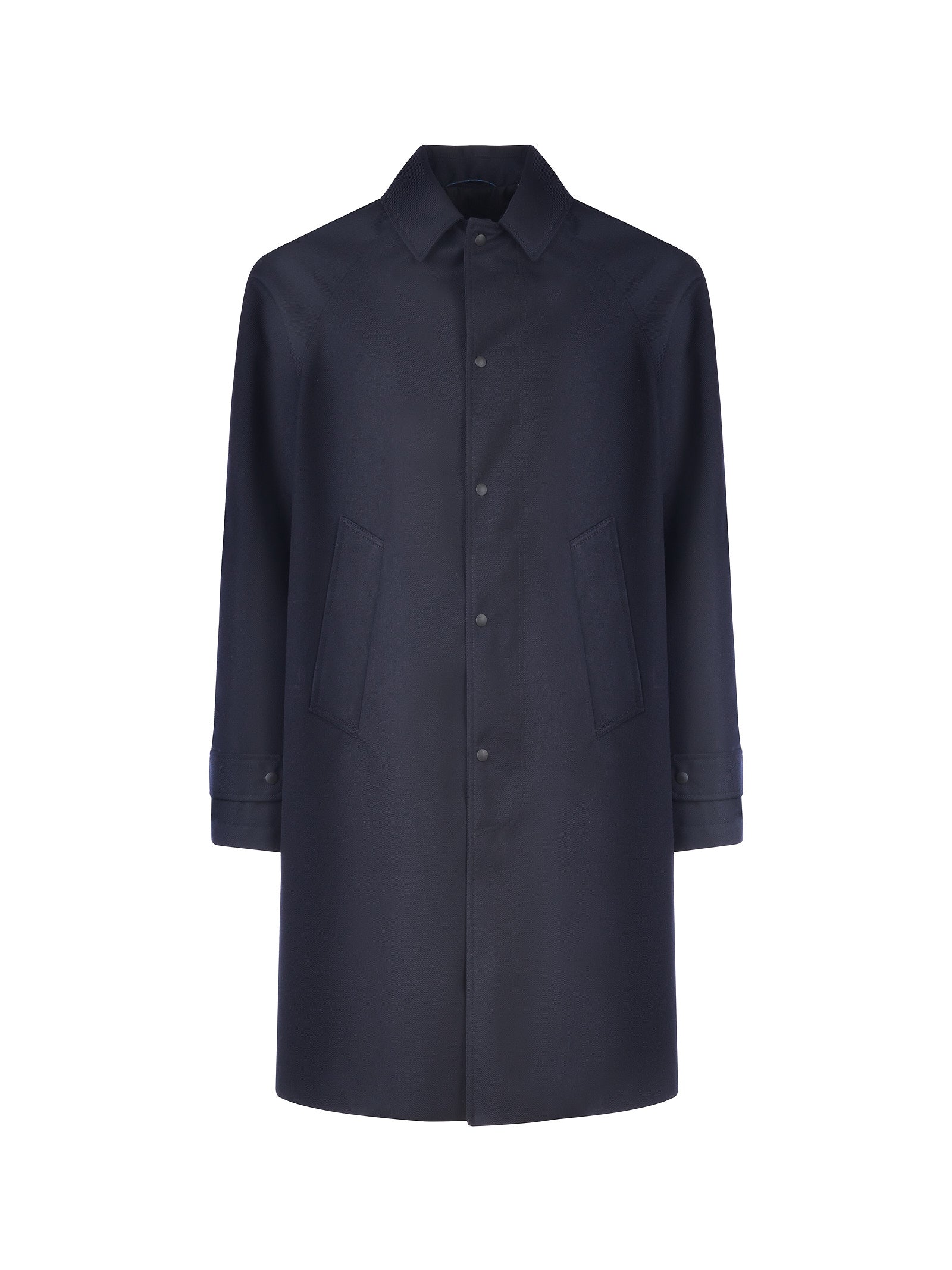 Immagine diapositiva