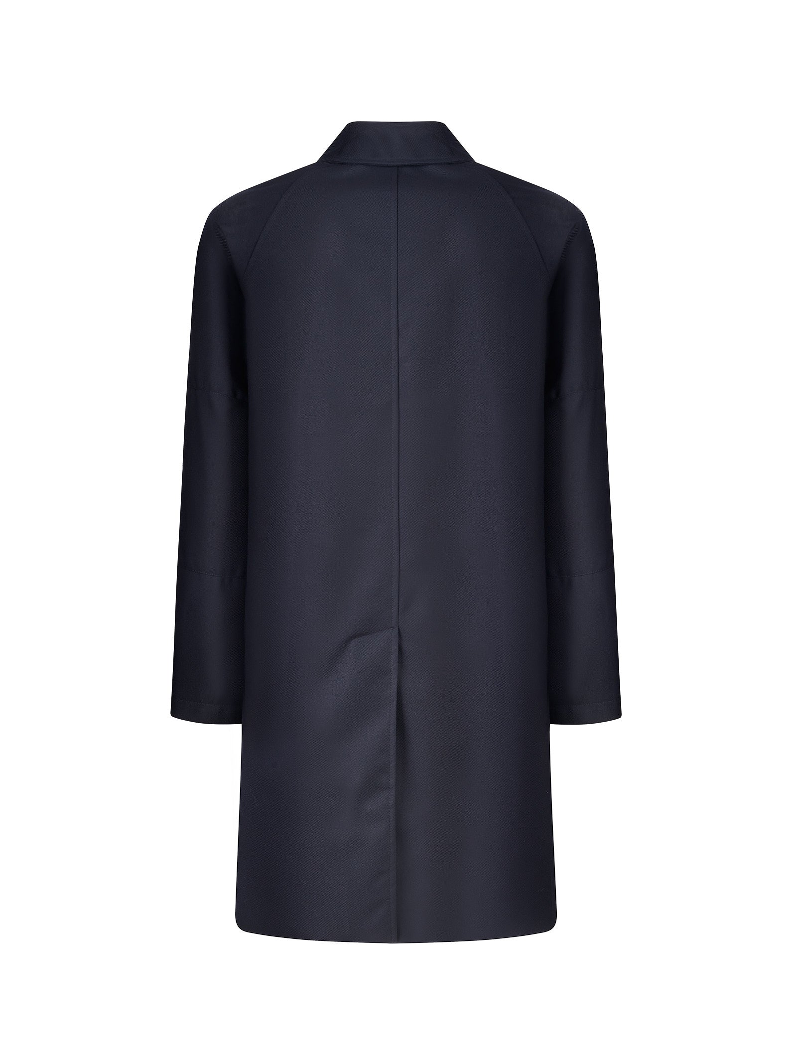 Immagine diapositiva